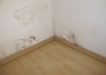 Traitement de l'humidité (remontées capillaires ) à Caen