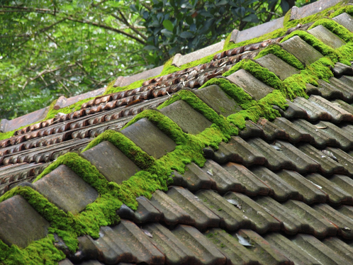 Démoussage de toiture à Vimont